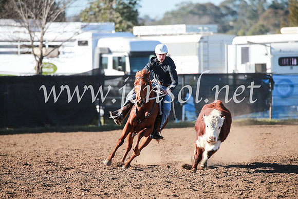 CCCampdraft2016_5204
