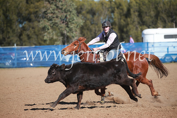 CCCampdraft2016_6220