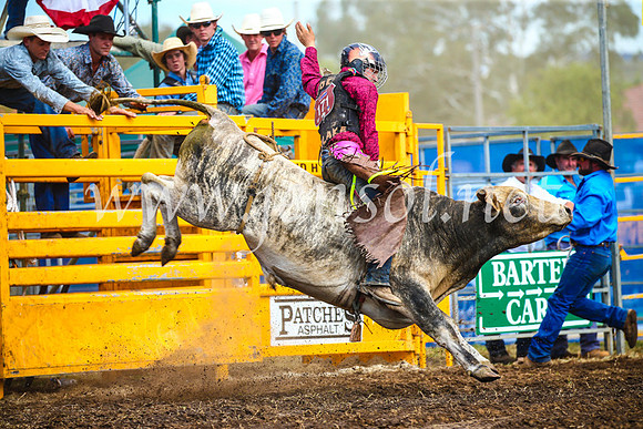QueanbeyanRodeo2017_2812