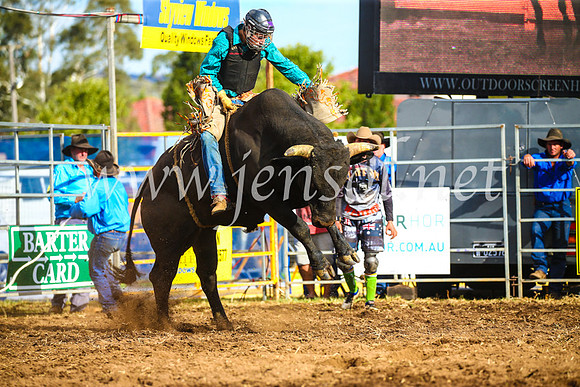 QueanbeyanRodeo2017_3478