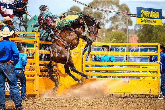 QueanbeyanRodeo2017_2506