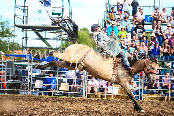 QueanbeyanRodeo2017_3825