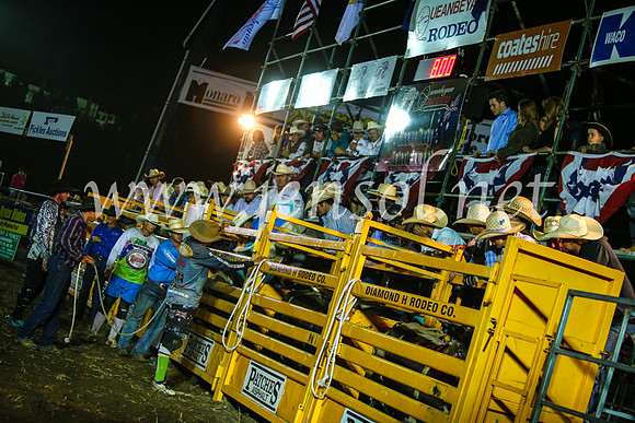 QeanbeyanRodeo2017_4927