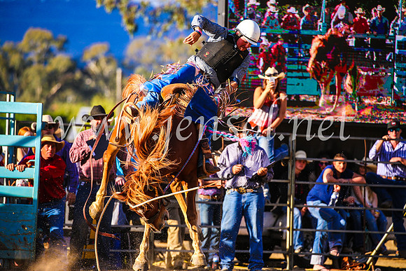 TumutRodeo2017_2639