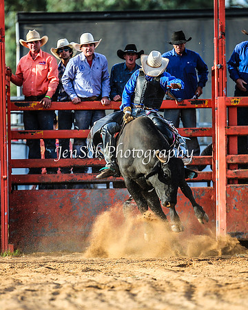 ForbesRodeo2014_2235