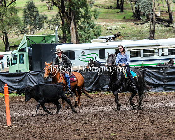 CabanandraCampdraft2014_1938