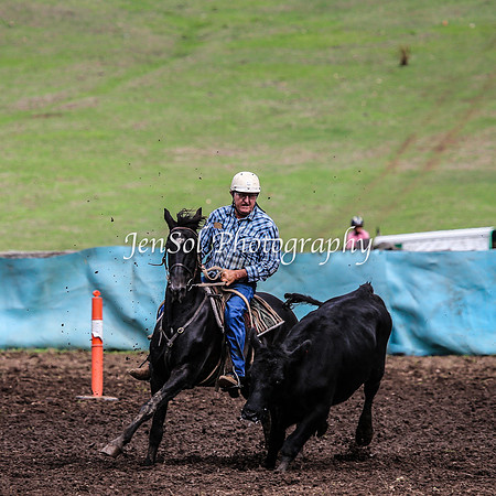 CabanandraCampdraft2014_2375