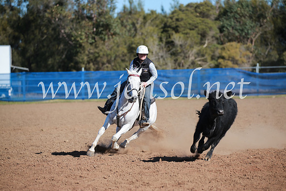 CCCampdraft2016_6214