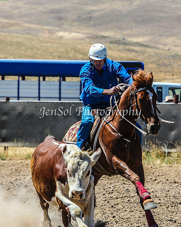 AdaminabyCampdraft2015_0246