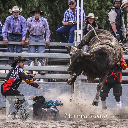Moruya1_0648
