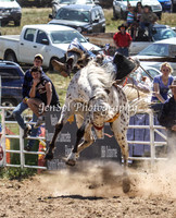 Bungendore2011_0433