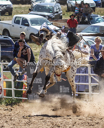 Bungendore2011_0433