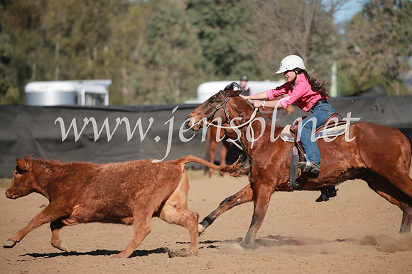 CCCampdraft2016_6229