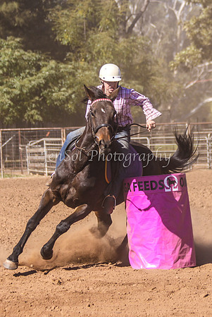 Dubbo2 251