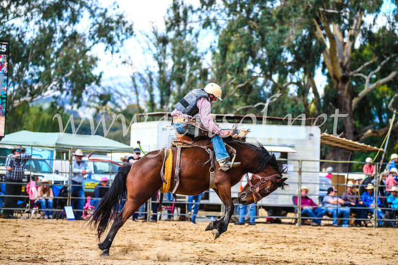 TumutRodeo2017_1565