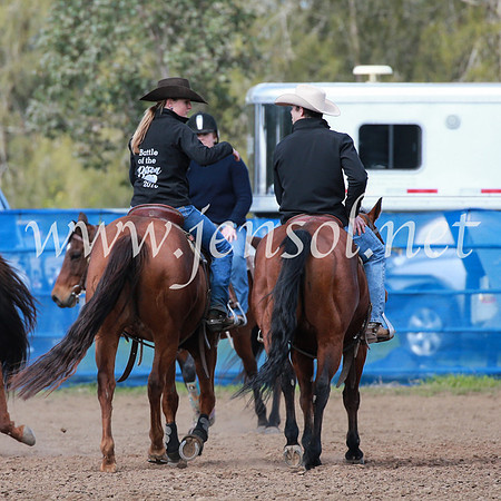 CCCampdraft2016_2578