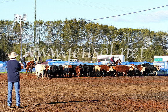 CCCampdraft20167D_0046