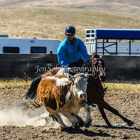 AdaminabyCampdraft2015_0188