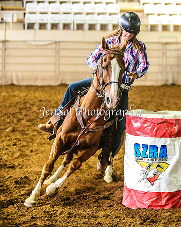 RealDealRodeoFeb2014_0308