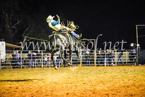 TumutRodeo2017_4702