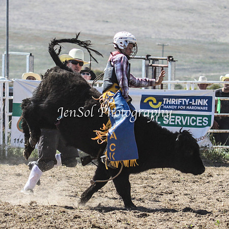 Bungendore2011_0178