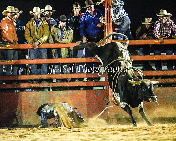 ForbesRodeo2014_4347