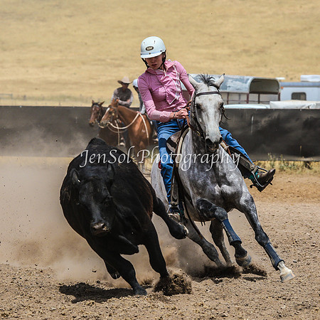 AdaminabyCampdraftSun2015_3343