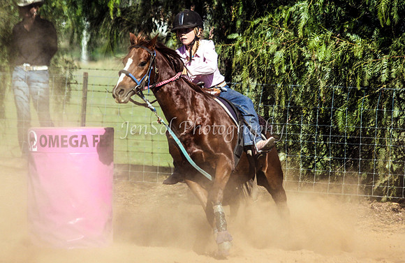 Dubbo2 404