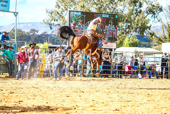 TumutRodeo2017_1727