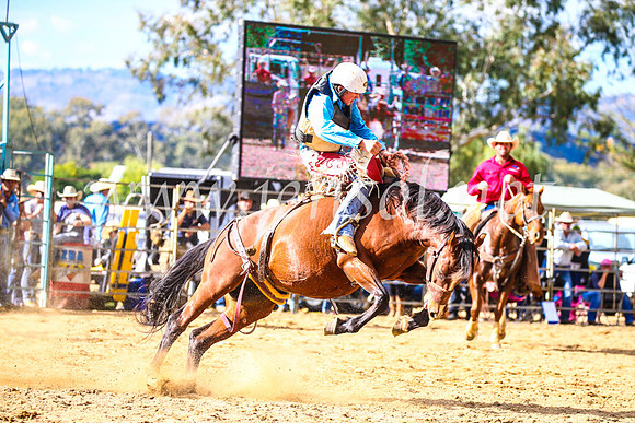 TumutRodeo2017_1808