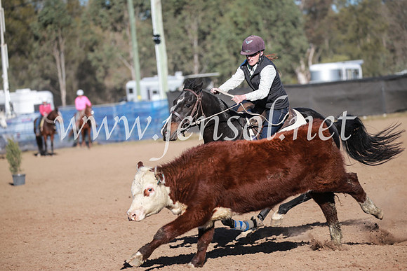 CCCampdraft2016_6276