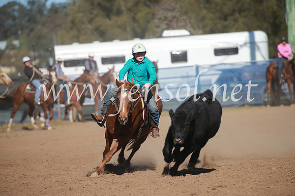 CCCampdraft2016_6166
