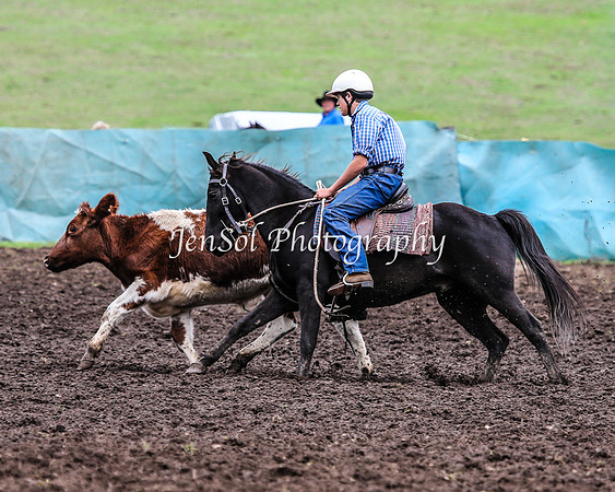 CabanandraCampdraft2014_2209