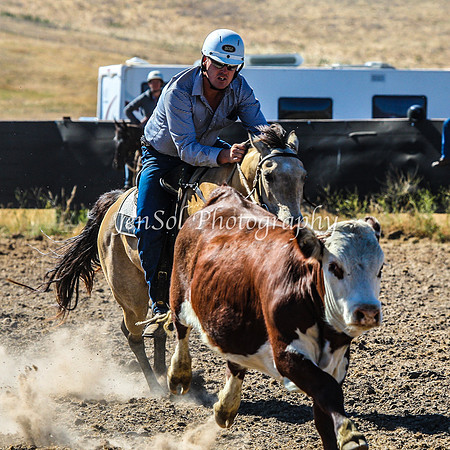 AdaminabyCampdraft2015_0100
