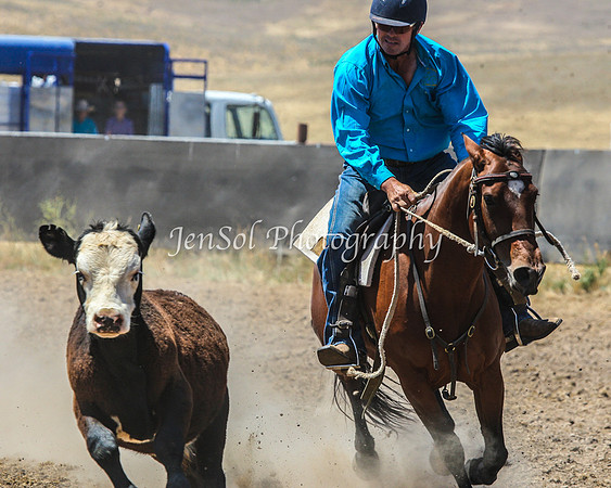 AdaminabyCampdraft2015_0332