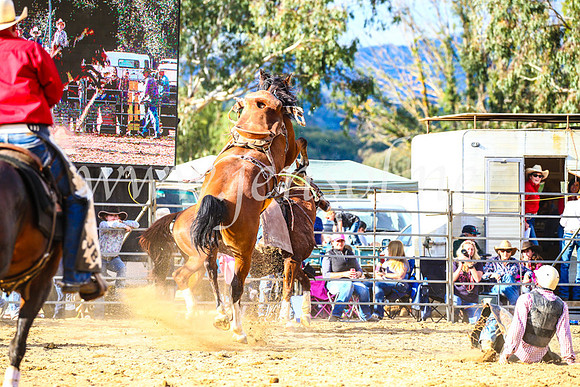 TumutRodeo2017_2306