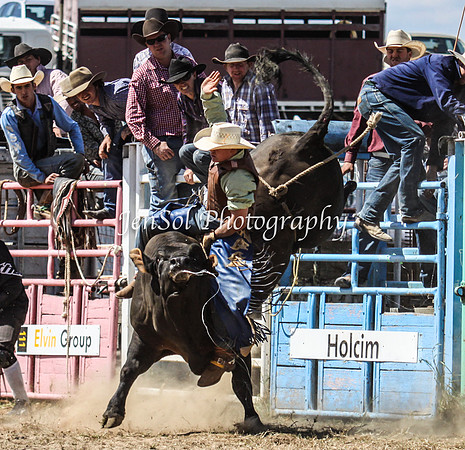 Bungendore2011_1171