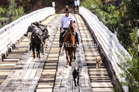Cabanandra Campdraft 2012