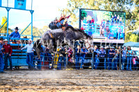 TumutRodeo2017_2985