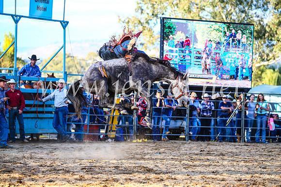 TumutRodeo2017_2985
