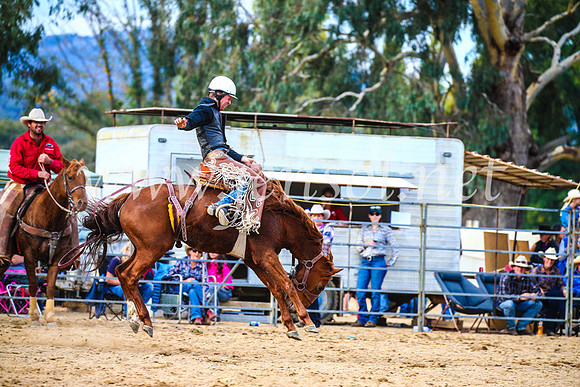 TumutRodeo2017_2265