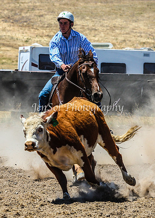 AdaminabyCampdraft2015_0339