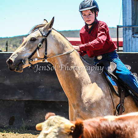 AdaminabyCampdraft2015_0406