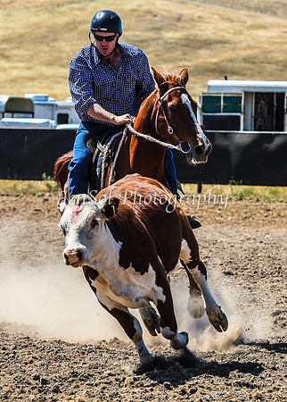 AdaminabyCampdraft2015_0215