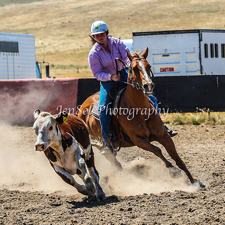 AdaminabyCampdraft2015_0222