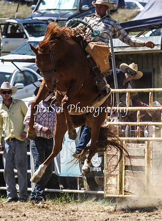 Bungendore2011_0948