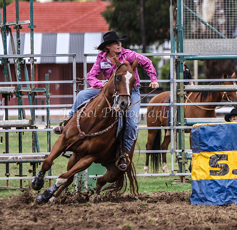 IMG_0212Qbn1