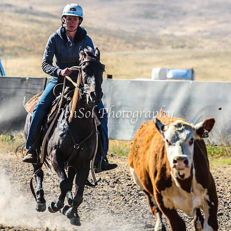AdaminabyCampdraft2015_0049