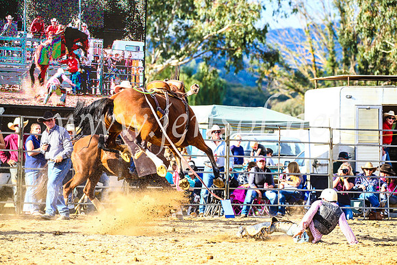 TumutRodeo2017_2309