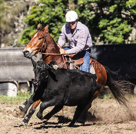 IMG_0330Jugiong1
